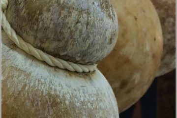 Caciocavallo podolico - la cucina pugliese