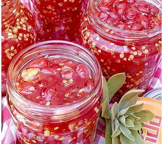 Peperoncini piccanti sott'olio - la cucina pugliese -