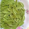 Pasta Foglie Di Ulivo - la cucina pugliese