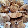 Funghi Marieddhri - lacucinapugliese--