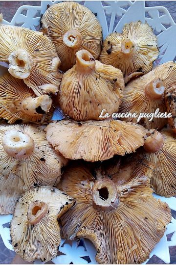 Funghi Marieddhri - lacucinapugliese--