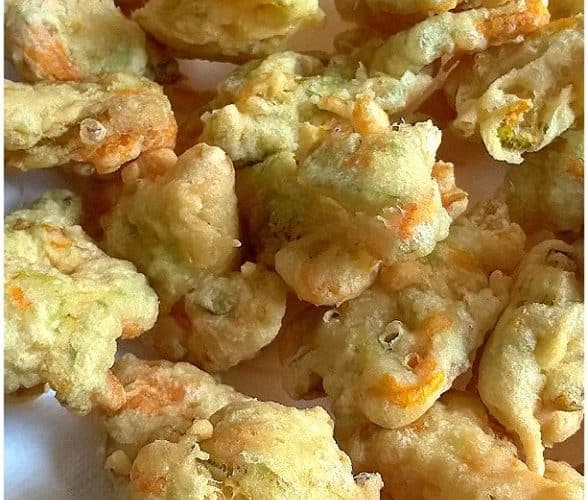 Frittelle di fiori di zucca - la cucina pugliese--