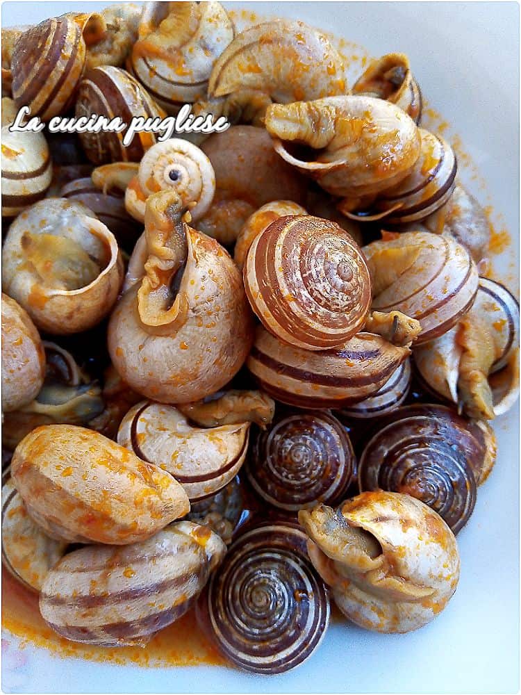 Lumache al pomodoro una ricetta pugliese semplice e saporita