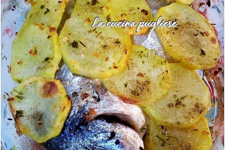 Orata alla pugliese - cucinapugliese--