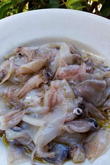 Crudo di calamaretti - lacucinapugliese -