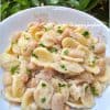 Orecchiette tonno e fagioli - lacucinapugliese--