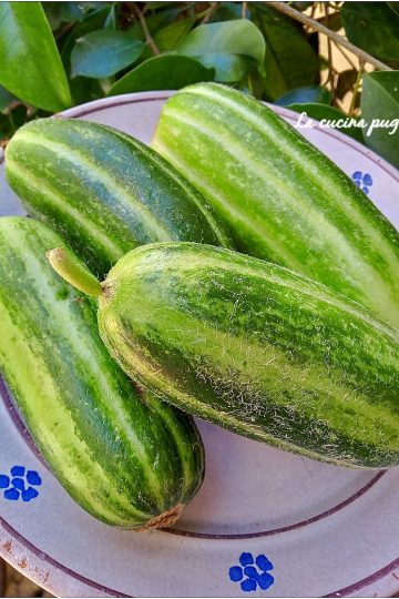 Carosello pugliese - la cucina pugliese