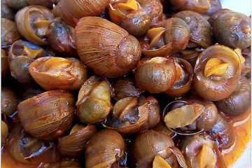 Municeddhre al sugo - la cucina pugliese