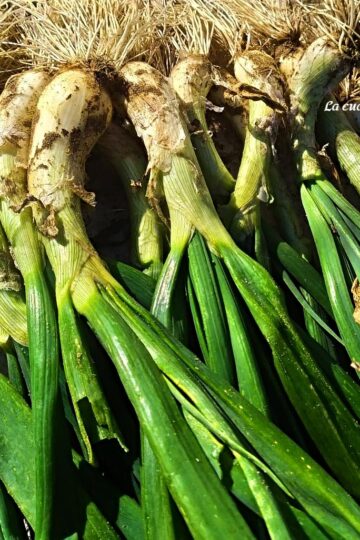 Sponsali scopri le proprietà e i benefici di questo tesoro culinario della Puglia - la cucina pugliese