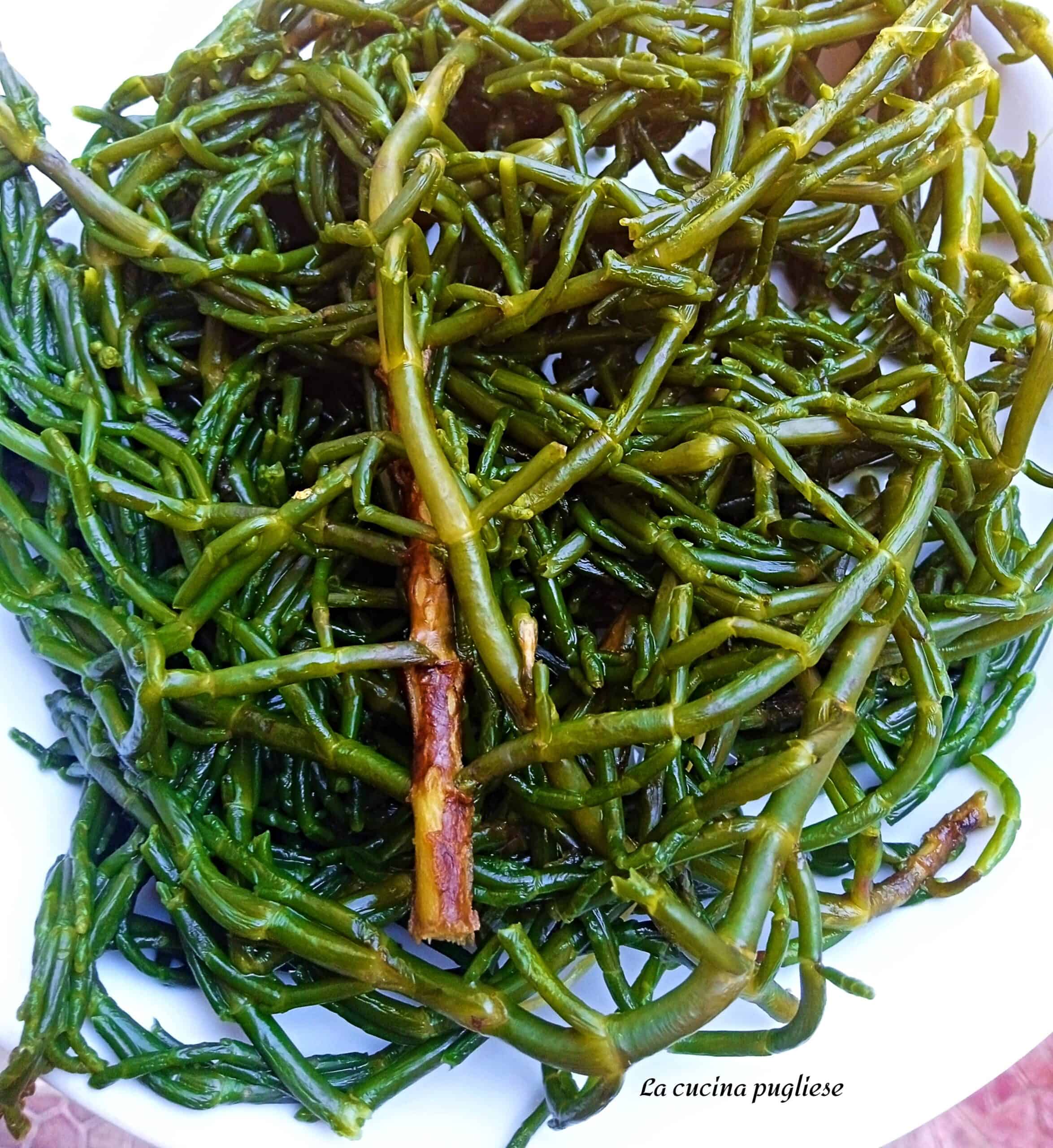 Salicornia lessa - la cucina pugliese